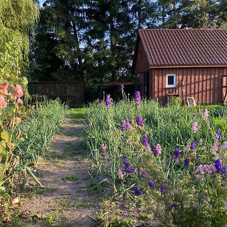 Agroturystyka Omelia Czluchow Exterior photo